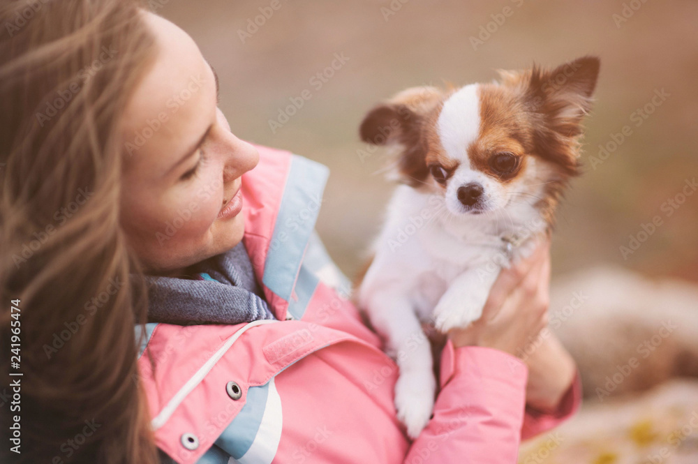 beautiful young female track suit and scarf with little chihuahua dog in hands beautiful young female track suit and scarf with little chihuahua dog in hands