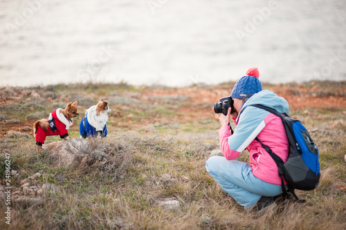 young active woman in wool hat and track suit and backpack taking pictures of two little chihuahua pet dogs using camera outdoors in cold weather winter spring season photo
