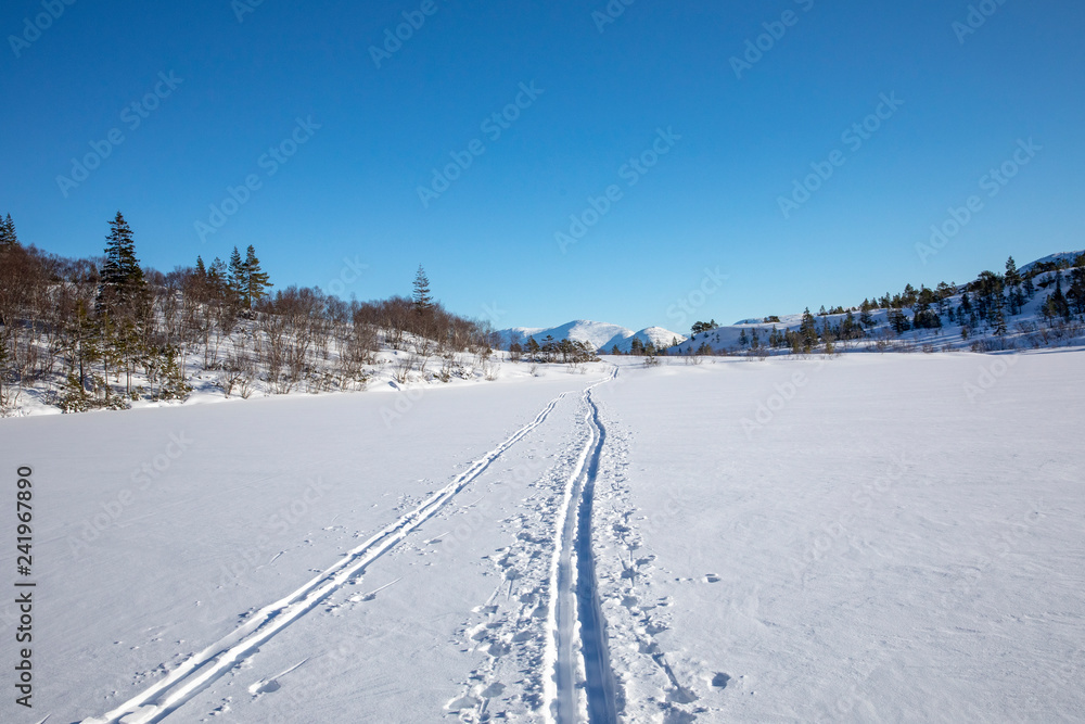 Ski trails over frozen lake in Brønnøy municipality, Nortdland county