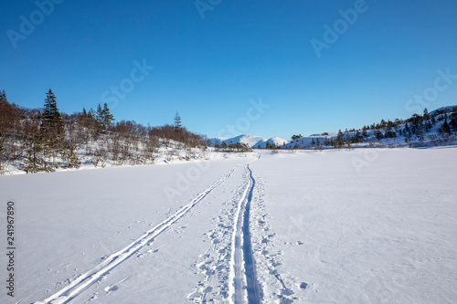 Ski trails over frozen lake in Brønnøy municipality, Nortdland county