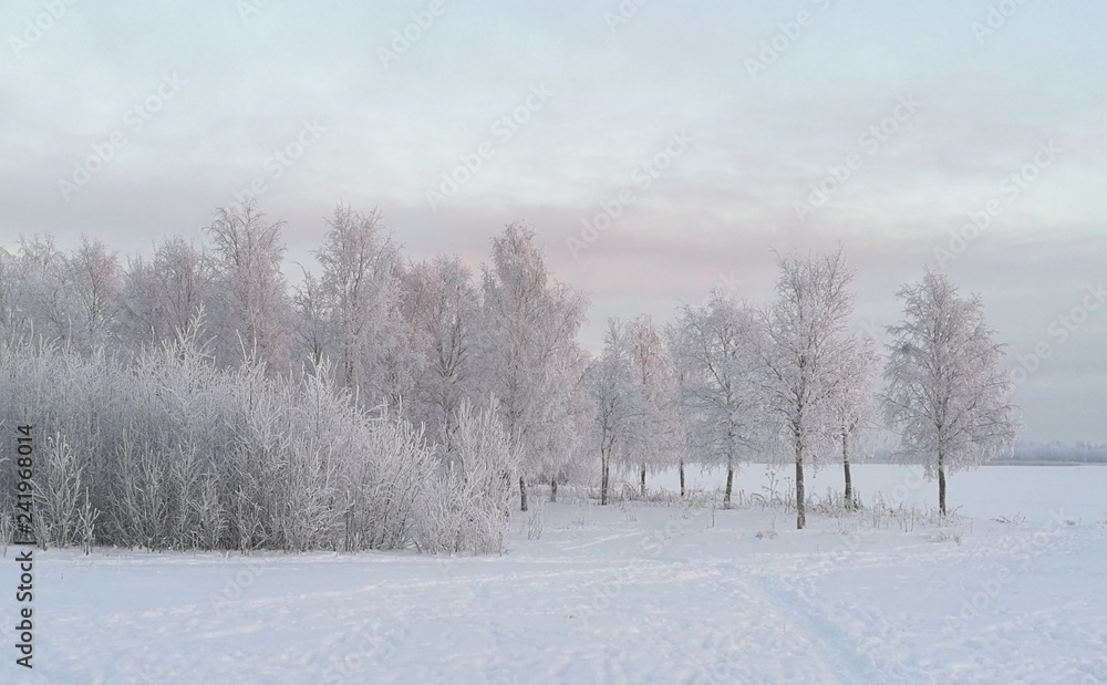 Winter landscape with snow covered trees Winter landscape with snow covered trees