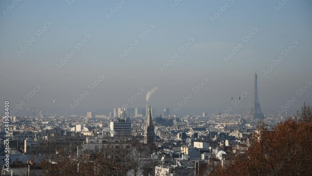 Panoramic view of Paris with Eiffel Tower and roofs