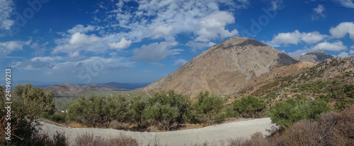 Agios Nikolaos, Crete - 09 29 2018: The millenary olive tree of Kavousi photo