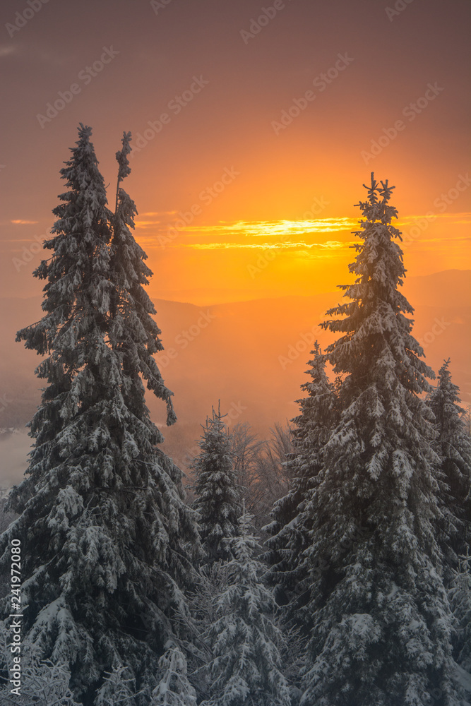 Wschód słońca Jaworzyna Krynicka,Beskid Sądecki.