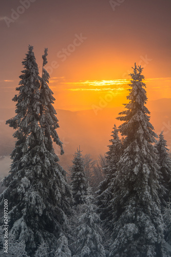 Obraz na płótnie Wschód słońca Jaworzyna Krynicka,Beskid Sądecki. w salonie