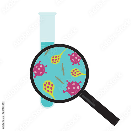Flat design illustration test tube with water or liquid, magnifying glasses and bacteria or virus, vector