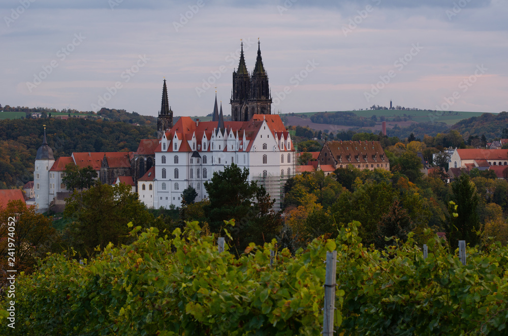 Die Burg Meissen von den Weinbergen aus