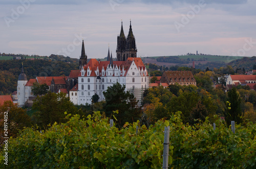 Die Burg Meissen von den Weinbergen aus photo