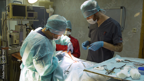 Veterinary surgeons make surgery for dog in the operating room of a veterinary clinic. Vets doing surgery in the clinic. Medicine, pet, animals, health care and people concept.