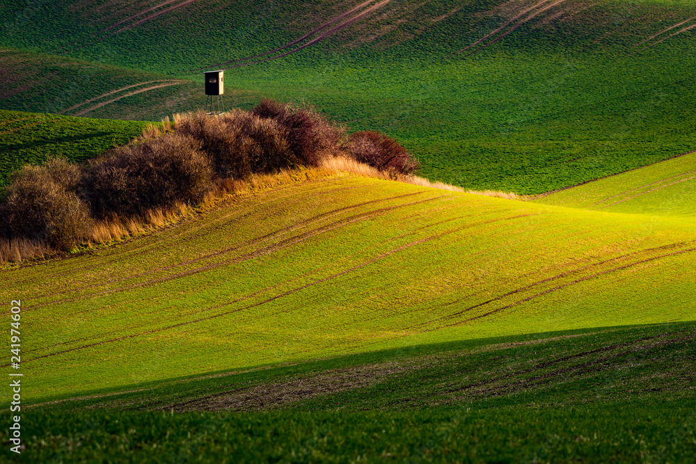 Countryside of south Moravia in Czech republic, Europe. Typical wavy rolling  hills, also called Moravian Tuscany. Photos | Adobe Stock