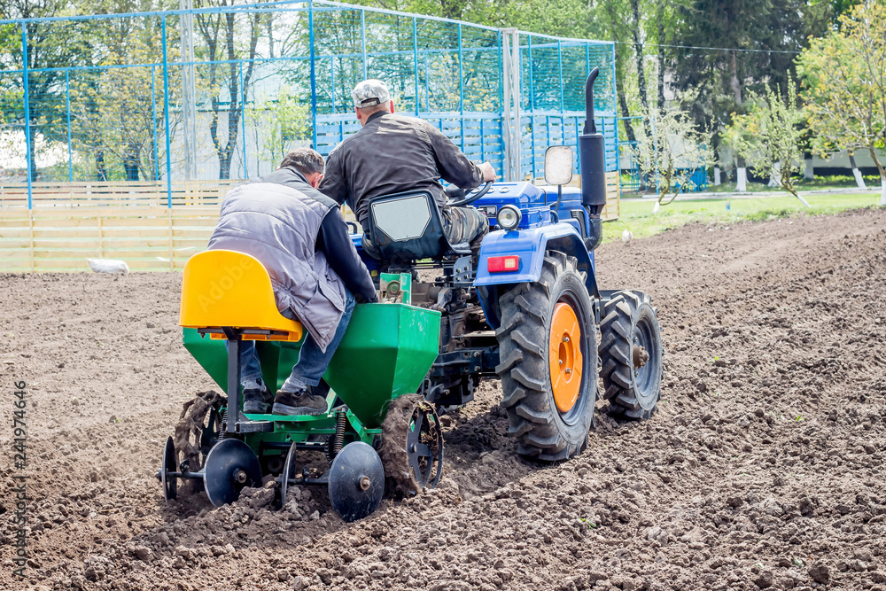 Planting potatoes with a tractor. Mechanization of agricultural work_ Planting potatoes with a tractor. Mechanization of agricultural work_