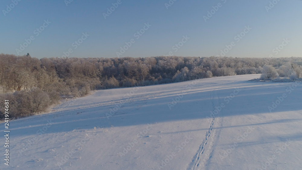 aerial view snow covered field and forest in winter winter landscape trees covered with snow in countryside. aerial view snow covered field and forest in winter winter landscape trees covered with snow in countryside.