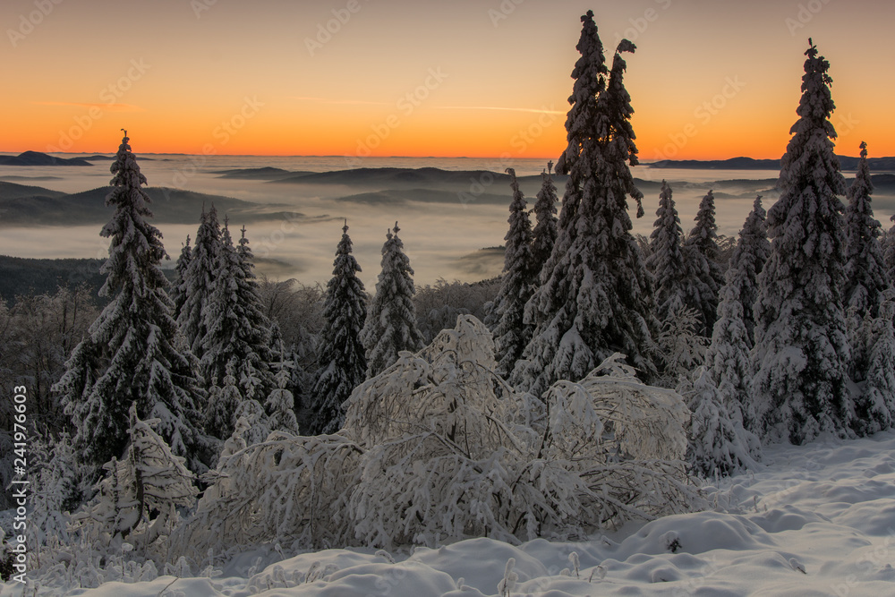 Wschód słońca Jaworzyna Krynicka,Beskid Sądecki