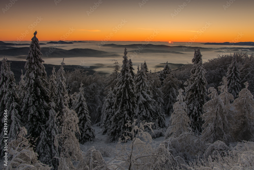 Wschód słońca Jaworzyna Krynicka,Beskid Sądecki