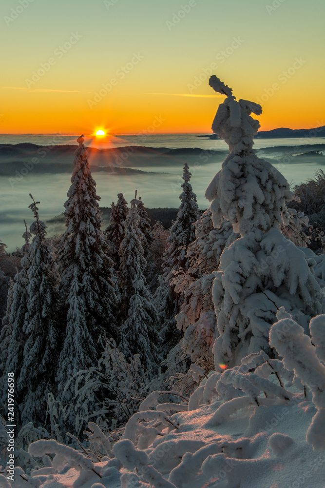 Wschód słońca Jaworzyna Krynicka,Beskid Sądecki