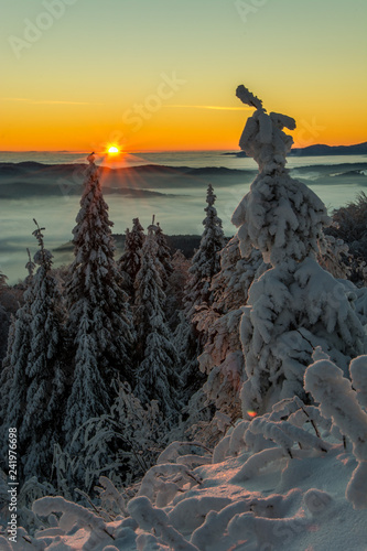 Obraz na płótnie Wschód słońca Jaworzyna Krynicka,Beskid Sądecki w salonie