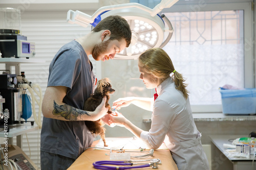 Veterinarians prepare the dog for surgery. Operating room with medical equipment in a veterinary clinic. Table for surgical operations in the hospital.