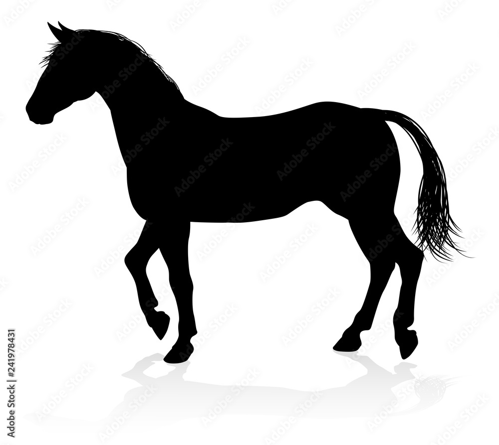 A high quality very detailed horse in silhouette