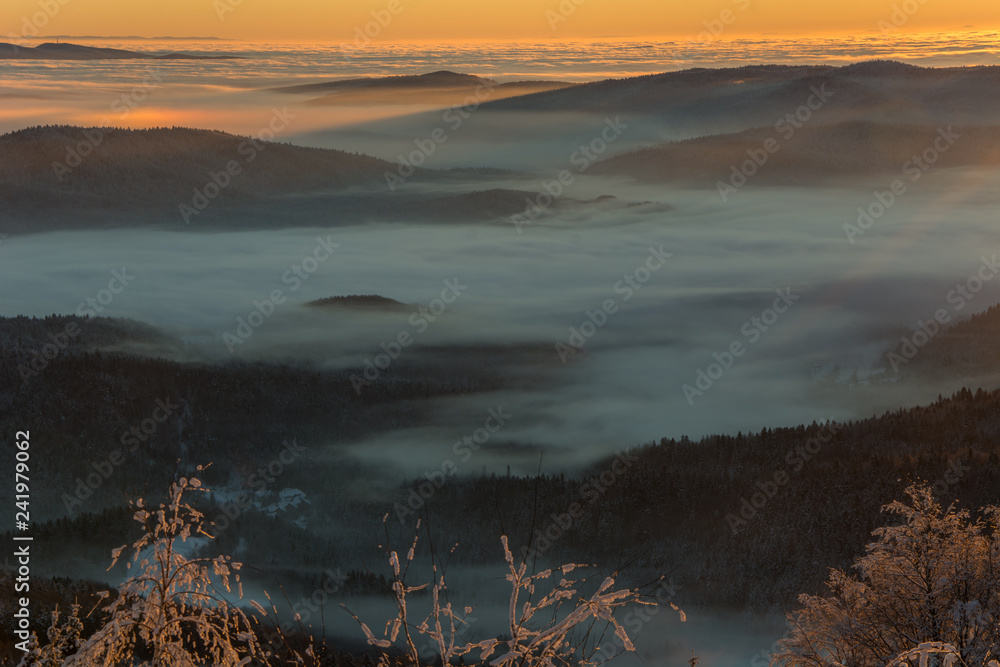 Po wschodzie słońca widoki z Jaworzyny Krynickiej ,Beskid Sądecki.