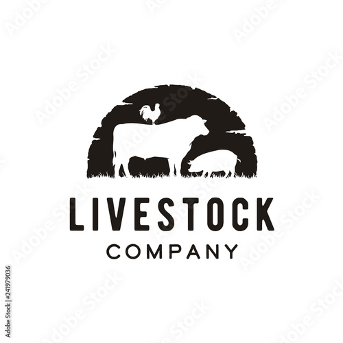 Retro Vintage Farm Cattle Angus Pig Chicken Rooster Livestock Emblem Label logo design vector photo