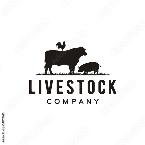 Retro Vintage Farm Cattle Angus Pig Chicken Rooster Livestock Emblem Label logo design vector	