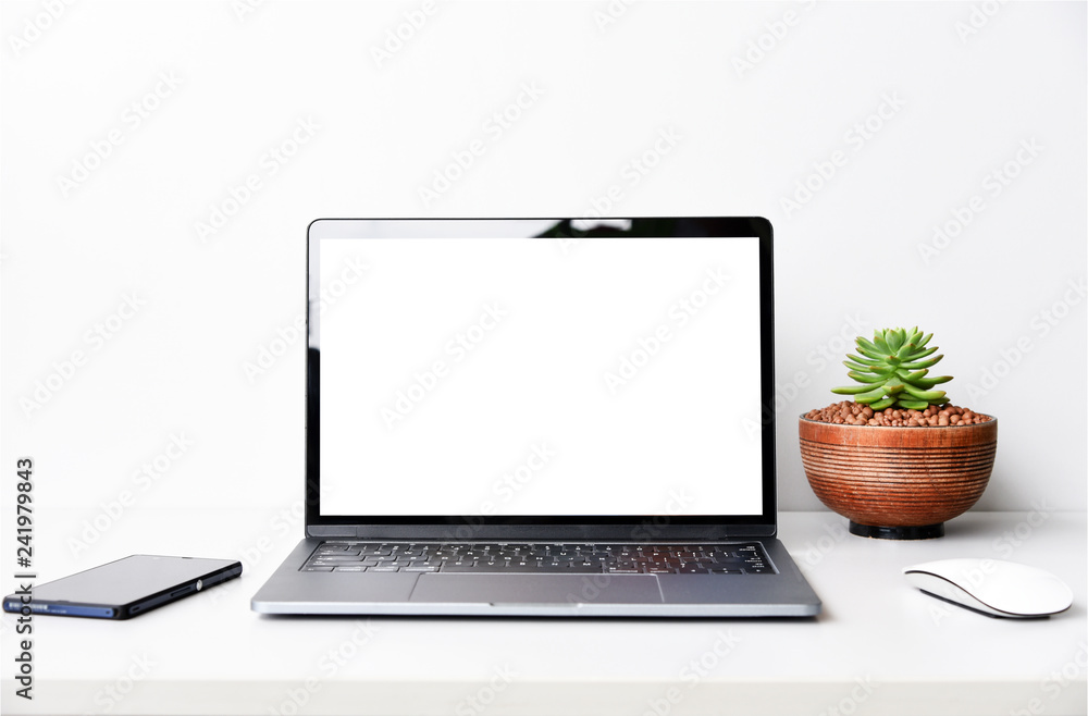 Fototapeta premium blank screen Modern laptop computer with mouse,Smart phone and Succulent on wood table in office view backgrounds 