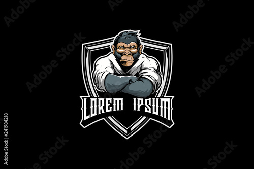 Photography amazing cartoon character monkey with kimono martial arts vector badge logo temp