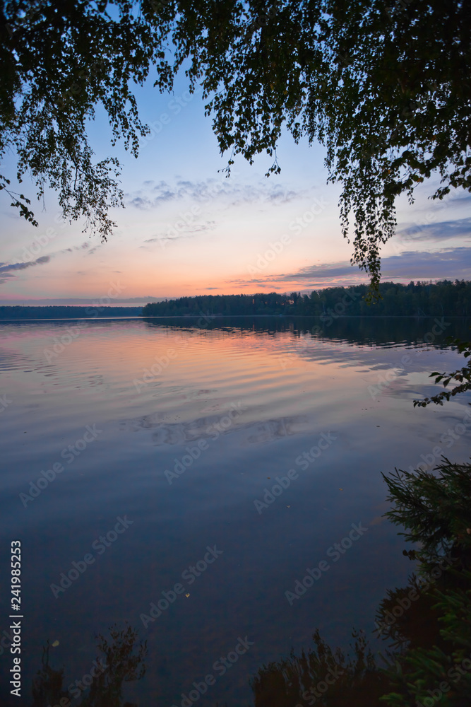 lake is framed by branches. Violet-pink sunrise on the lake. lake is framed by branches. Violet-pink sunrise on the lake.