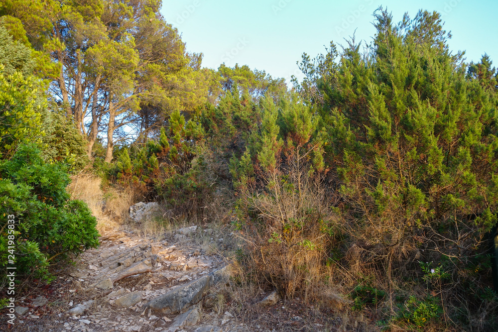 Fototapeta premium Wanderweg zur Steilküste der Kornaten