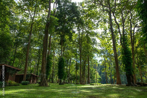 Landscape of  Mae Ngao National park, Sop Moei District, Mae Hong Son province, northern of Thailand. photo