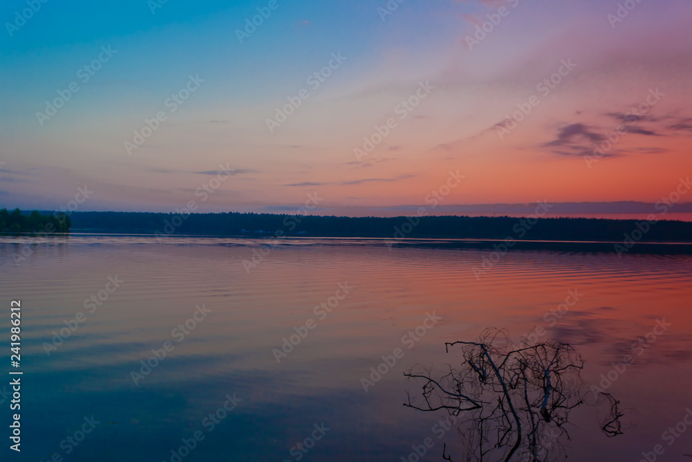 branch of the tree sticks out of the water. Violet-pink sunrise on the lake.
