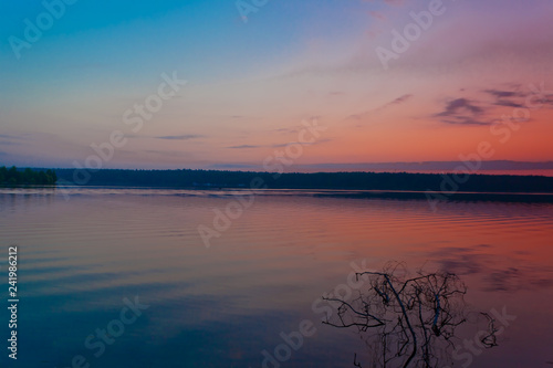 branch of the tree sticks out of the water. Violet-pink sunrise on the lake. © Mikhail Semenov