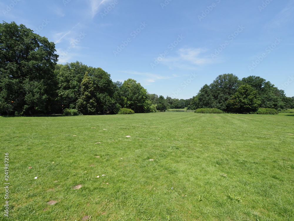 Green grassy field and trees at park landscape in european Pszczyna city in Poland on June Green grassy field and trees at park landscape in european Pszczyna city in Poland on June