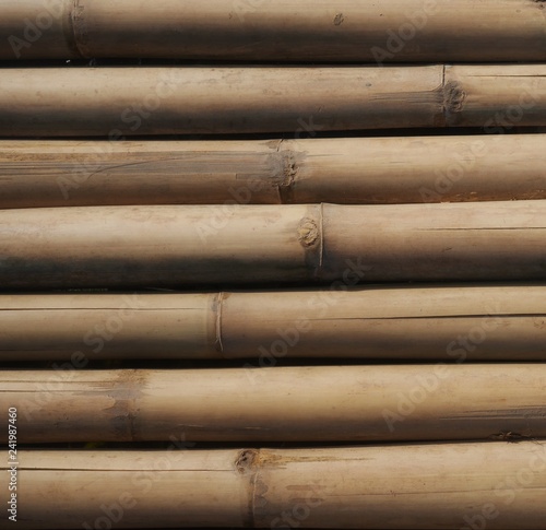 Light brown bamboo texture