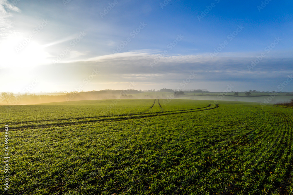 Misty morning in Woodend - Uk