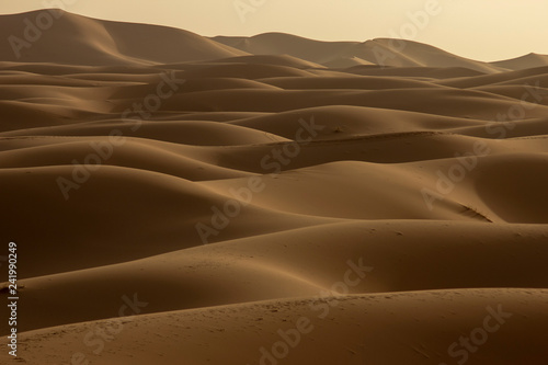 sand dunes © Bert