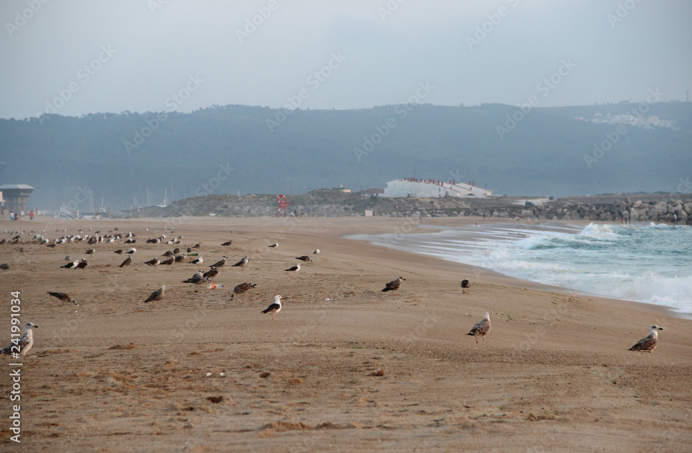 Beautiful view of Nazare, Portugal Beautiful view of Nazare, Portugal