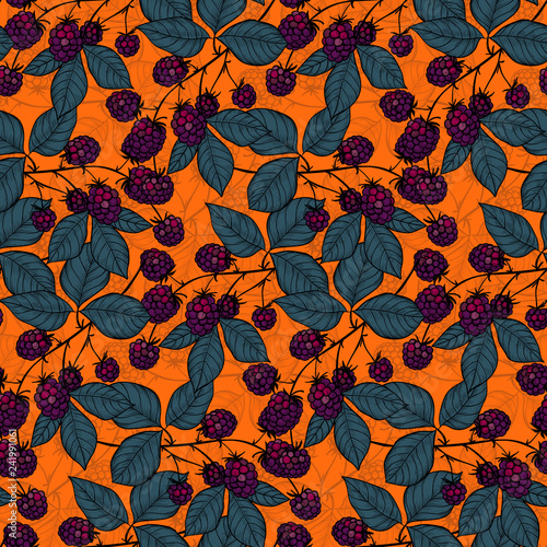 Vector seamless pattern with hand drawn blackberries. Element for design.