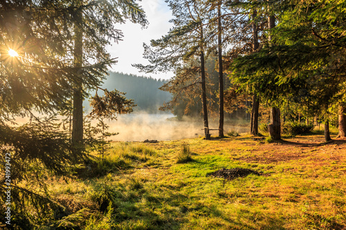 Magical morning in the mountain...