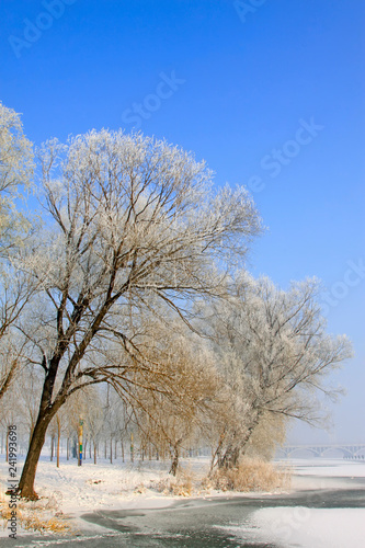 Rime natural landscape in north China