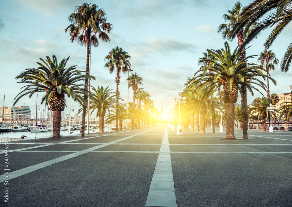 Spring sunrise palm streets Port Vell of Barcelona Spain.