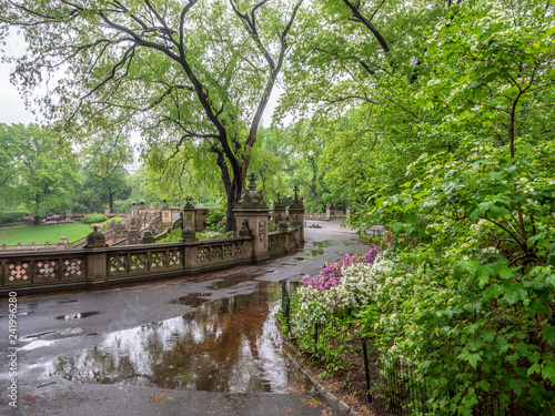 Tablou pe pânză Central Park, New York City in spring