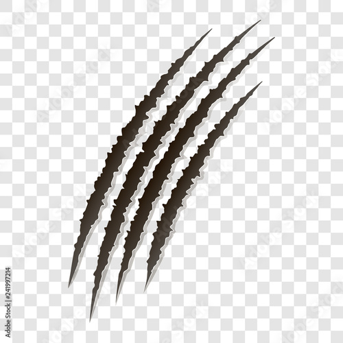Fancy claws scratches - vector isolated. Talons cuts animal cat, dog, tiger, lion,