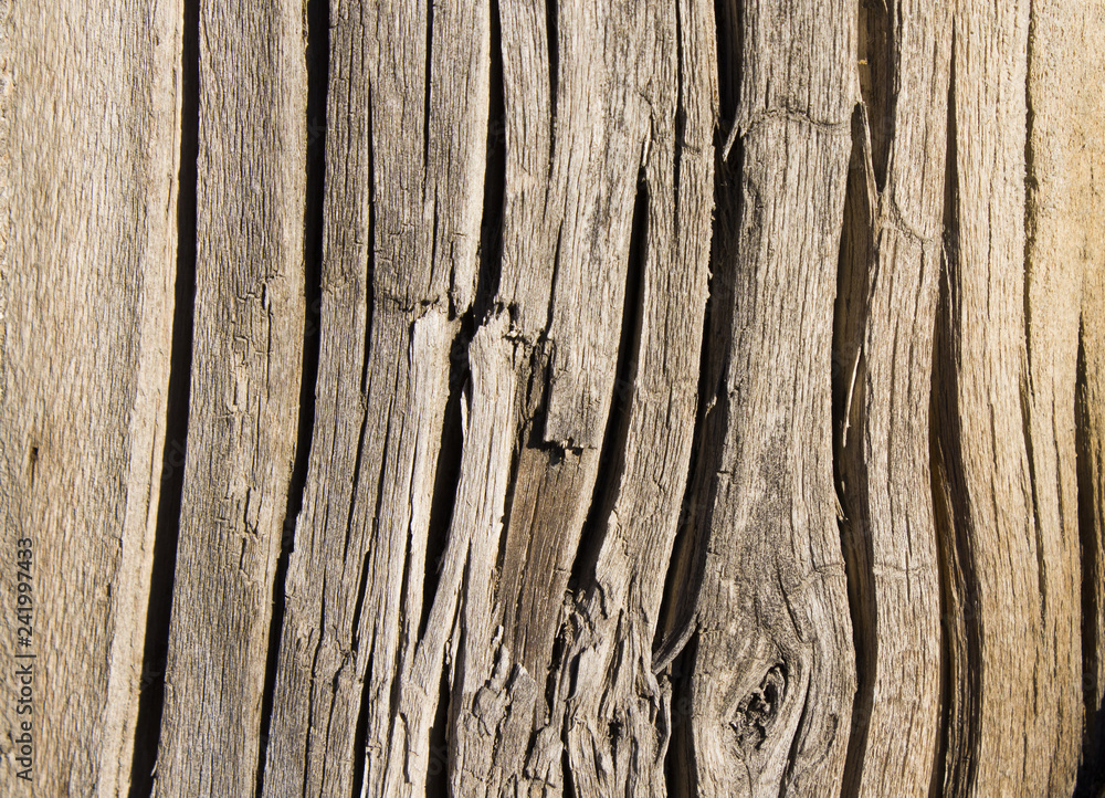 Obraz premium old wood texture