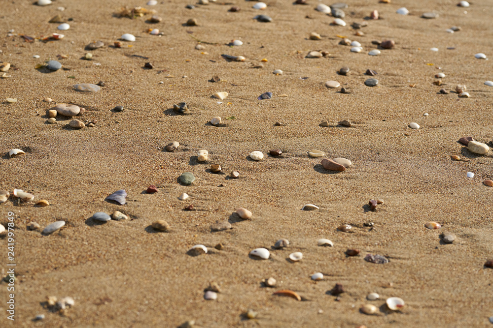 Beach sands texture and background Beach sands texture and background