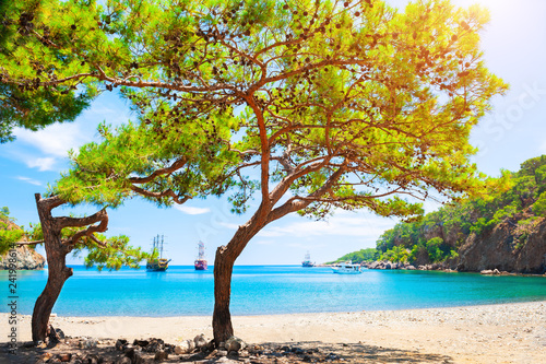 Beautiful beach with turquoise water and pines. "Paradise bay" near Kemer, Turkey