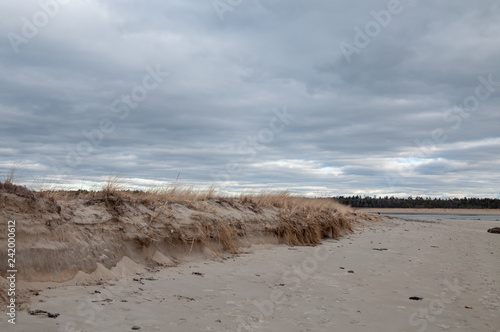 Fototapeta Naklejka Na Ścianę i Meble -  Simple Dune