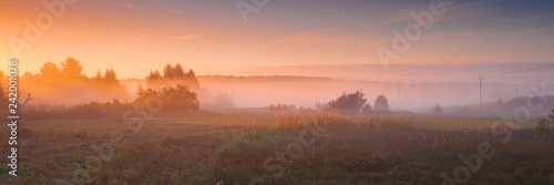 Panorama of the field covered with fog lit by the sun on the field