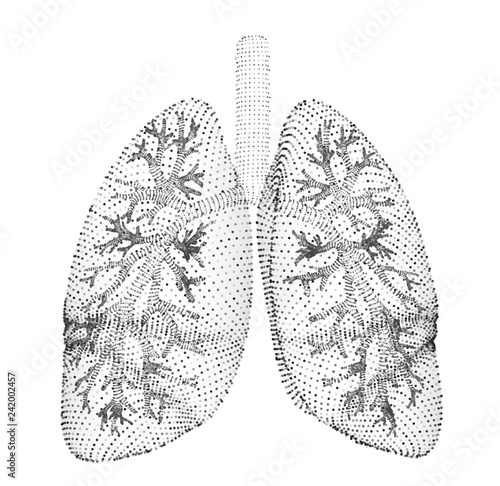 vector lungs and bronchi. vector design. point and dot style