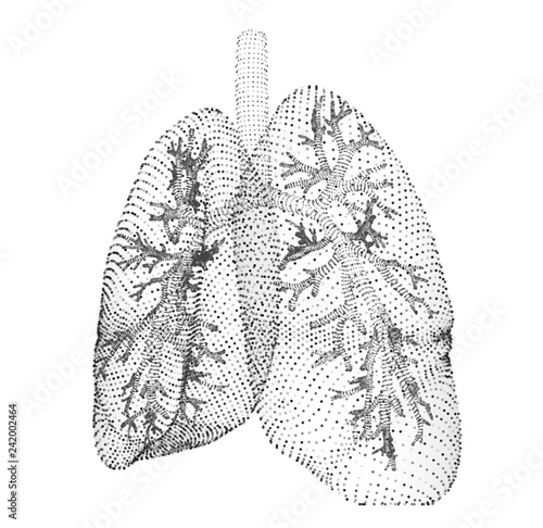 vector lungs and bronchi. vector design. point and dot style